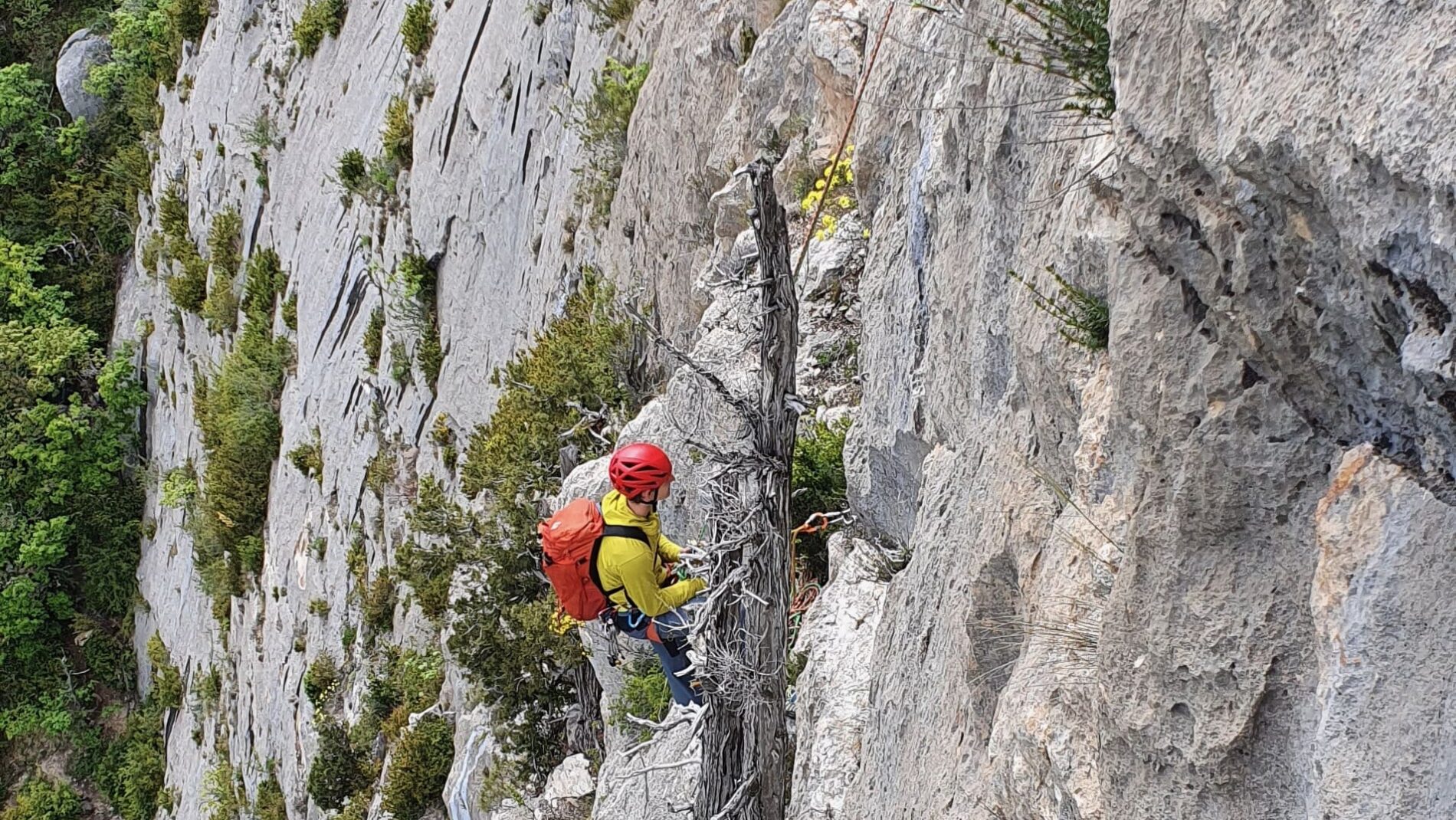 stage escalade orpierre