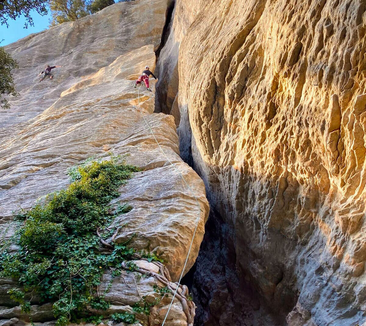 escalade sportive femme sud de la france